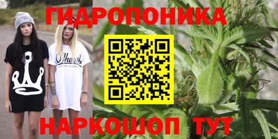 гидропоника Коммунар