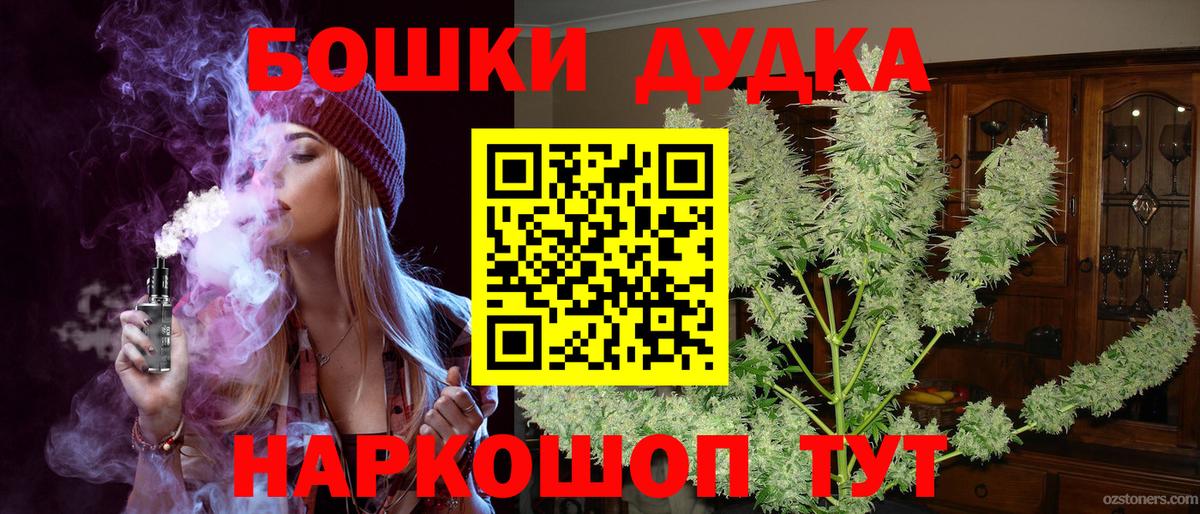 Бошки Шишки планчик Кингисепп